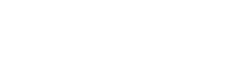 Logo Mr-Survey